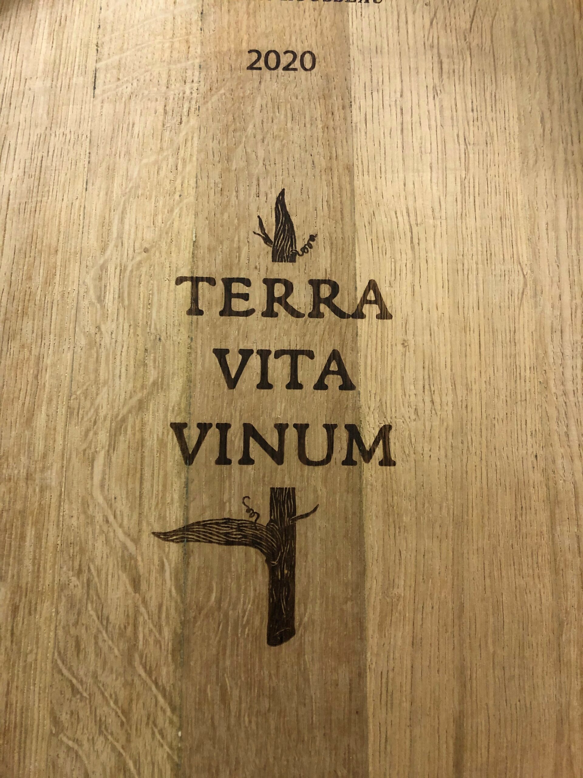 Terra Vita Vinum